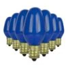 Sunlite Incandescent Light Bulb (01255)