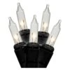 LiteSource Christmas Light String Set (04100) 2 LiteSource Christmas Light String Set (04100) -Light Bulbs Shop 04100lg