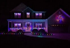 Vickerman Christmas Light String Set (449578) -Light Bulbs Shop 148476md