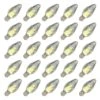 Vickerman LED Light Bulb (25 Pack) (647585) 2 Vickerman LED Light Bulb (25 Pack) (647585) -Light Bulbs Shop 172339alg