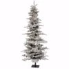 Vickerman Pre-Lit Artificial Christmas Tree (18143) -Light Bulbs Shop 18143lg
