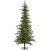 Vickerman Pre-Lit Artificial Christmas Tree (18183) -Light Bulbs Shop 18183lg