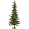Vickerman Pre-Lit Artificial Christmas Tree (18189) -Light Bulbs Shop 18189alg