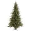 Vickerman Pre-Lit Artificial Christmas Tree (18247) -Light Bulbs Shop 18247lg