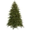 Vickerman Pre-Lit Artificial Christmas Tree (Includes On / Off Foot Switch) (18918) -Light Bulbs Shop 18918lg