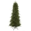 Vickerman Pre-Lit Artificial Christmas Tree (19249) -Light Bulbs Shop 19249lg
