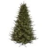 Vickerman Pre-Lit Artificial Christmas Tree (includes Step On/Off Foot Switch) (21555) -Light Bulbs Shop 21555lg