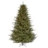 Vickerman Pre-Lit Artificial Christmas Tree (includes Step On/Off Foot Switch) (21557) -Light Bulbs Shop 21557lg