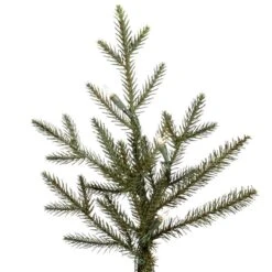 Vickerman Pre-Lit Artificial Christmas Tree (includes Step On/Off Foot Switch) (21559) -Light Bulbs Shop 21559Miscmd