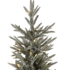 Vickerman Pre-Lit Artificial Christmas Tree (21668) -Light Bulbs Shop 21668Miscmd