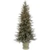 Vickerman Pre-Lit Artificial Christmas Tree (21668) -Light Bulbs Shop 21668lg