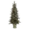 Vickerman Pre-Lit Artificial Christmas Tree (21671) -Light Bulbs Shop 21671lg
