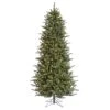 Vickerman Pre-Lit Artificial Christmas Tree (includes Step On/Off Foot Switch) (21709) -Light Bulbs Shop 21709lg
