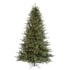 Vickerman Pre-Lit Artificial Christmas Tree (includes Step On/Off Foot Switch) (21729) -Light Bulbs Shop 21729lg