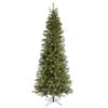 Vickerman Pre-Lit Artificial Christmas Tree (includes Step On/Off Foot Switch) (21772) -Light Bulbs Shop 21772lg