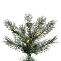 Vickerman Pre-Lit Artificial Christmas Tree (includes Step On/Off Foot Switch) (21905) -Light Bulbs Shop 21905Miscmd