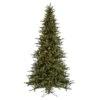 Vickerman Pre-Lit Artificial Christmas Tree (includes Step On/Off Foot Switch) (22020) -Light Bulbs Shop 22020lg