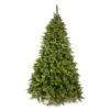 Vickerman Pre-Lit Artificial Christmas Tree (includes Step On/Off Foot Switch) (22111) -Light Bulbs Shop 22111lg