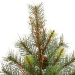 Vickerman Pre-Lit Christmas Tree With Pine Cones (22351) -Light Bulbs Shop 22351Miscmd