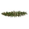 Vickerman Pre-Lit Artificial Christmas Garland (22478) -Light Bulbs Shop 22478lg