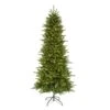 Vickerman Pre-Lit Artificial Christmas Tree (22622) -Light Bulbs Shop 22622lg