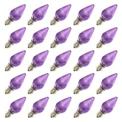 Vickerman Christmas Light Bulb Replacement (25 Pack) (25716)