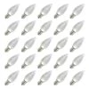 Vickerman LED Light Bulb (25 Pack) (647196) -Light Bulbs Shop 257944lg 2