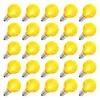 Vickerman LED Light Bulb (25 Pack) (300596) -Light Bulbs Shop 25802lg