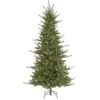 Vickerman Pre-Lit Artificial Christmas Tree (27122) -Light Bulbs Shop 27122lg