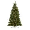 Vickerman Pre-Lit Artificial Christmas Tree (Includes On/Off Foot Switch) (27557) -Light Bulbs Shop 27557lg