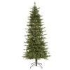 Vickerman Pre-Lit Artificial Christmas Tree (29529) -Light Bulbs Shop 29529lg