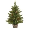 Vickerman Pre-Lit Artificial Christmas Tree (29594) -Light Bulbs Shop 29594lg