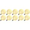 Vickerman LED Light Bulb (10 Pack) (300749) -Light Bulbs Shop 300749alg
