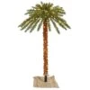 Vickerman Lighted Artificial Palm Tree (30221) -Light Bulbs Shop 30221lg