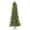 Vickerman Pre-Lit Artificial Christmas Tree (30934) 1 Vickerman Pre-Lit Artificial Christmas Tree (30934) -Light Bulbs Shop 30934lg
