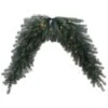 Vickerman Pre-Lit Artificial Christmas Garland (30976) -Light Bulbs Shop 30976lg