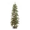 Vickerman Unlit Artificial Christmas Tree (317501) -Light Bulbs Shop 317501lg