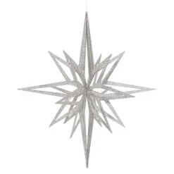 Vickerman Christmas Ornament (343364)