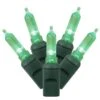 Vickerman Christmas Light String Set (34696) 2 Vickerman Christmas Light String Set (34696) -Light Bulbs Shop 34696lg