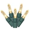 Vickerman Christmas Light String Set (365854) 2 Vickerman Christmas Light String Set (365854) -Light Bulbs Shop 365845alg