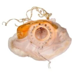 Kurt S. Adler Christmas Tree Topper (37194) 14 Kurt S. Adler Christmas Tree Topper (37194) -Light Bulbs Shop 371945md