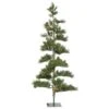Vickerman Prelit Artificial Christmas Tree (405543) -Light Bulbs Shop 405543lg