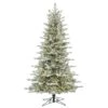 Vickerman Prelit Artificial Christmas Tree (410981) -Light Bulbs Shop 410981lg