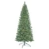 Vickerman Prelit Artificial Christmas Tree (419755) -Light Bulbs Shop 419755lg