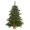 Vickerman Prelit Artificial Christmas Tree (421864) -Light Bulbs Shop 421864lg