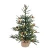 Vickerman Prelit Artificial Christmas Tree (448717) -Light Bulbs Shop 448717lg