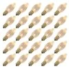 Vickerman LED Light Bulb (25 Pack) (647066) 2 Vickerman LED Light Bulb (25 Pack) (647066) -Light Bulbs Shop 449844lg 4
