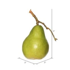 Vickerman Everyday Fruit (6 Pack) (461167) -Light Bulbs Shop 461167measuremd