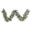 Vickerman Artificial Garland (500248) -Light Bulbs Shop 500248lg