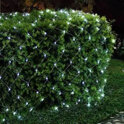 Kurt S. Adler LED Christmas Light String Set (52556) -Light Bulbs Shop 52556addmd